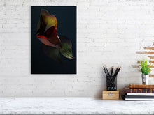 Load image into Gallery viewer, 3698834-855494
