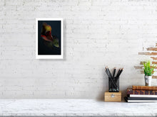 Load image into Gallery viewer, 3698834-855387