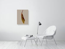 Load image into Gallery viewer, 9323795-3687046
