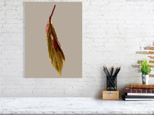 Load image into Gallery viewer, 9323795-3687047

